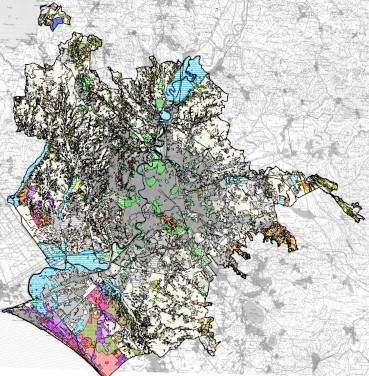 Land cover and vegetation map