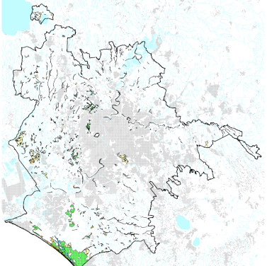 Target vegetation types for conservation for Rome Municipality 