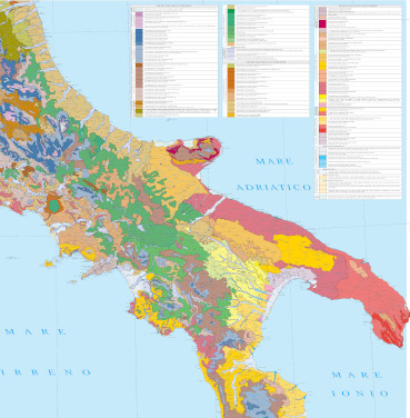 Carta delle serie di vegetazione (Foglio 2)